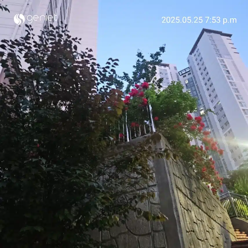 즐겁게 걸었네요..