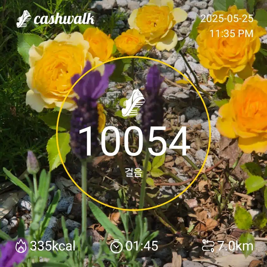 인증