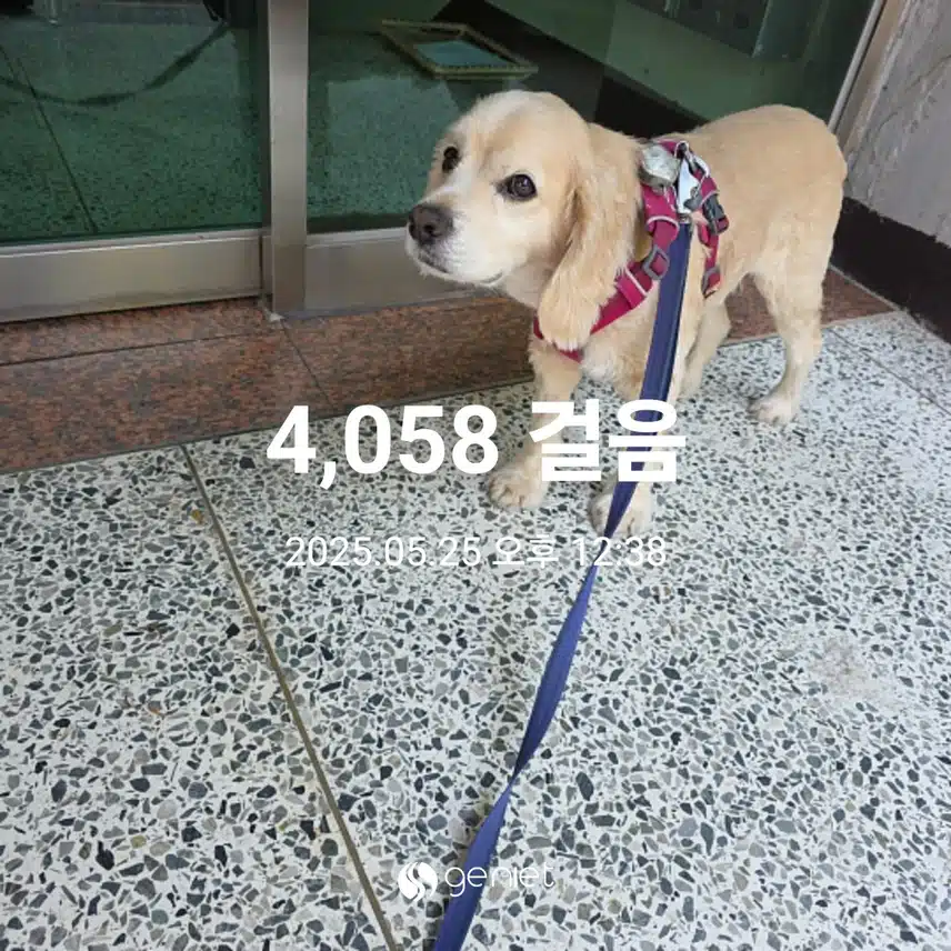 일요일 마무리 