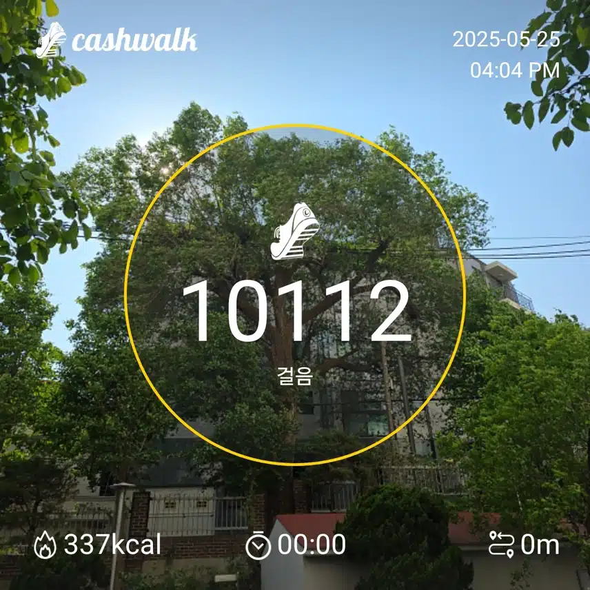 일요일 마무리 