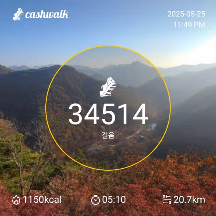 인증