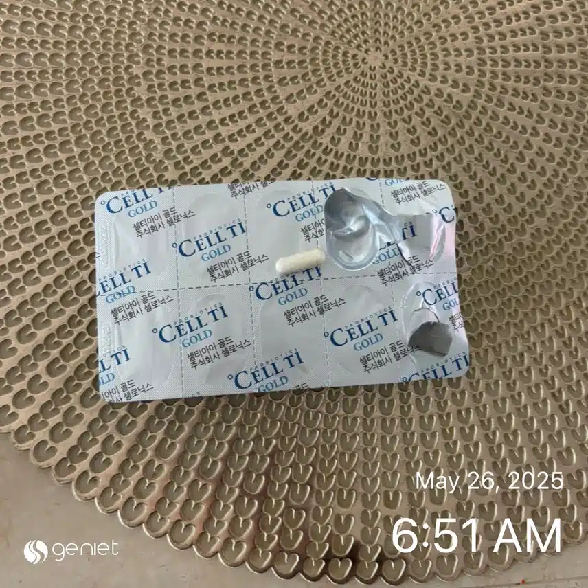 유산균💊