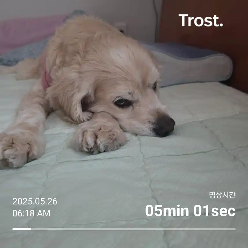 월요일 아침 