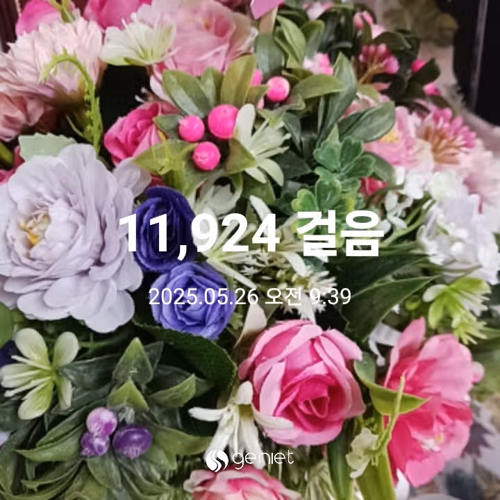 오전 운동 