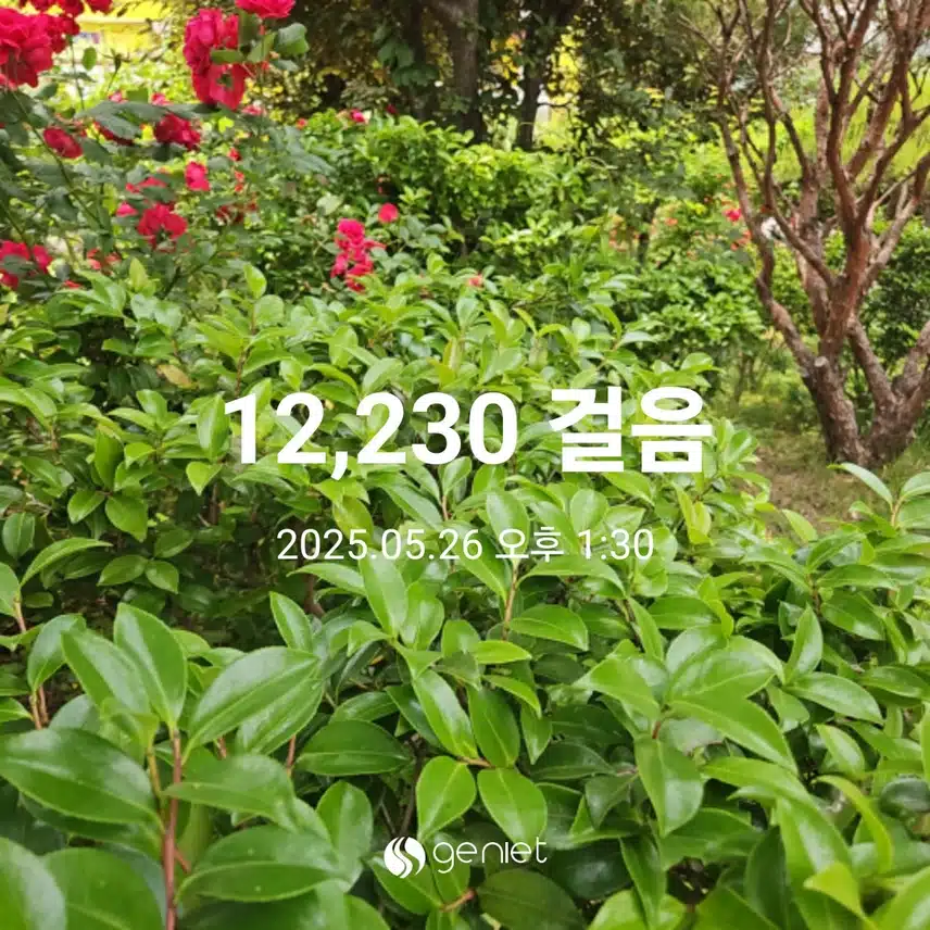꽃길 따라 걸었어요.🏃🪻🌹