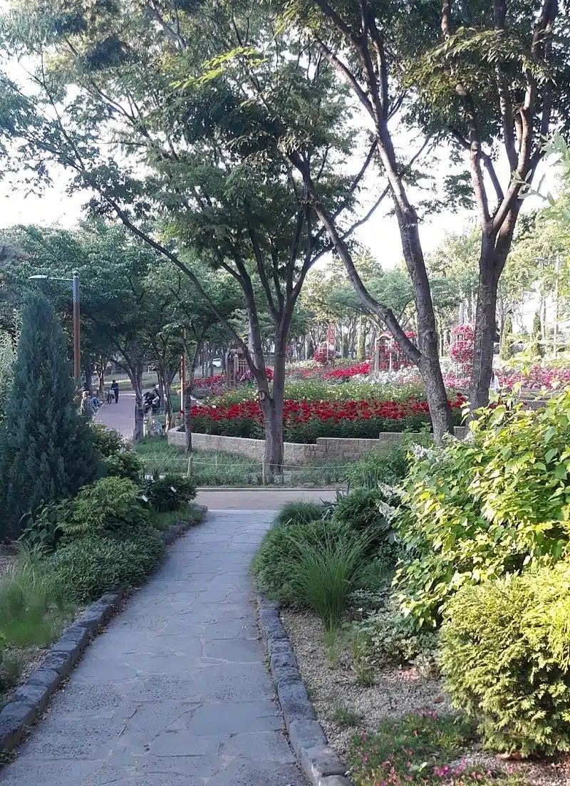 오후 산책