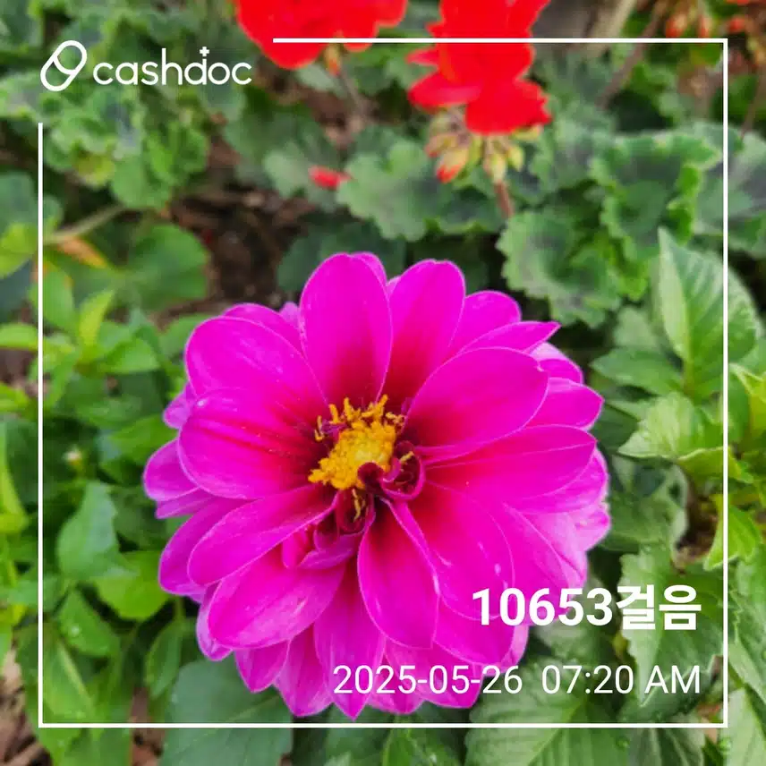 월요일 만구천보