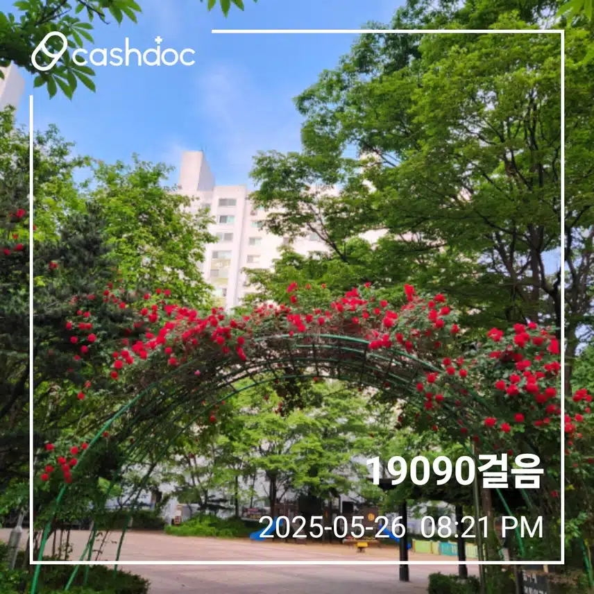월요일 만구천보