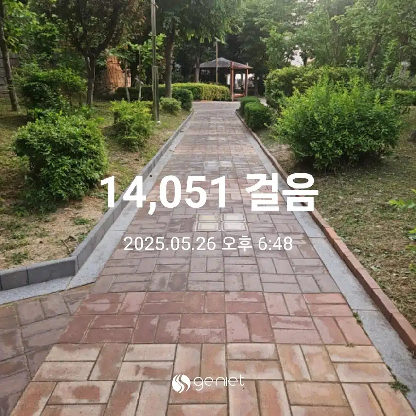 식후 걸었어요.🏃