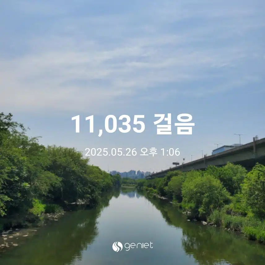 매일 만보걷고 공원에서 운동하기