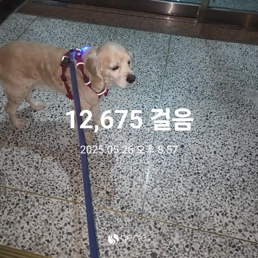 월요일 마무리 
