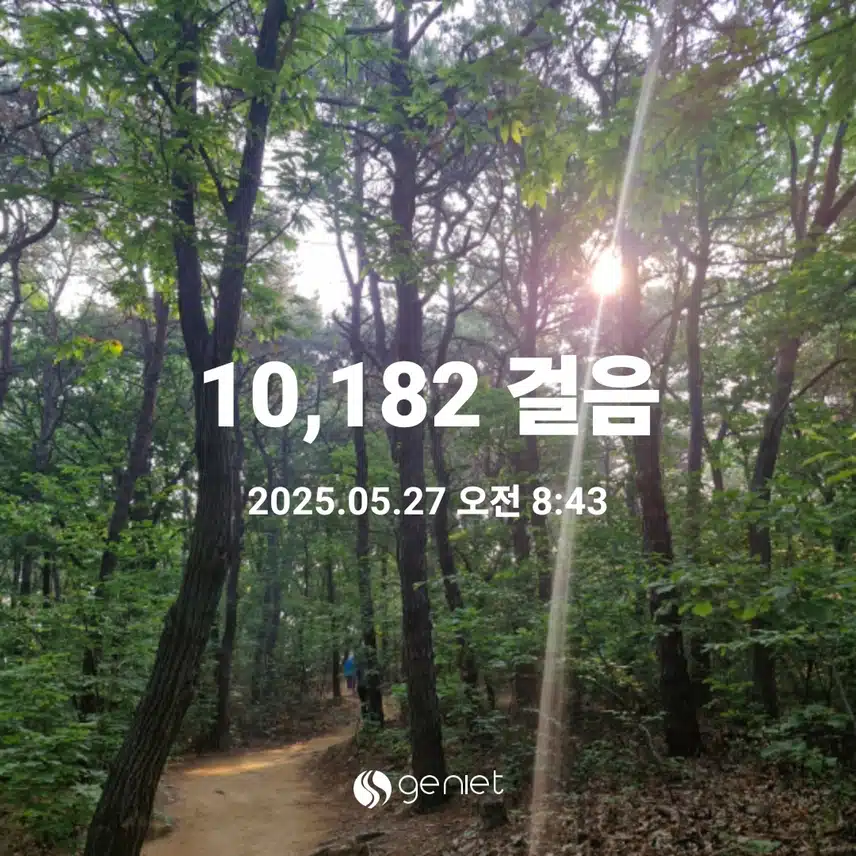 아침 숲길