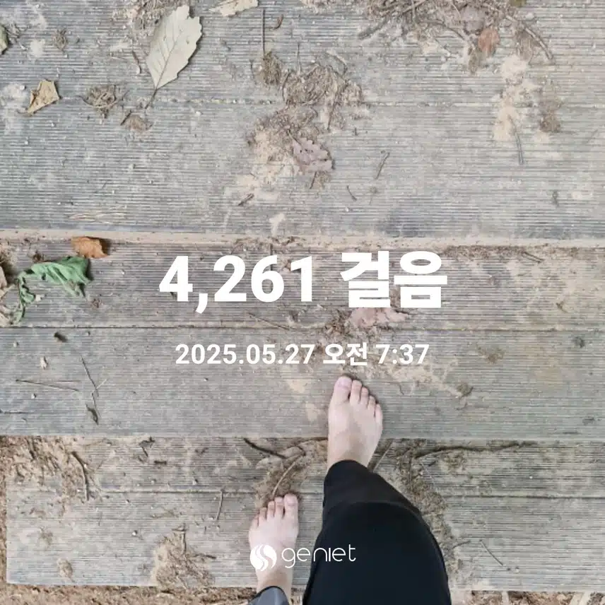 아침 숲길