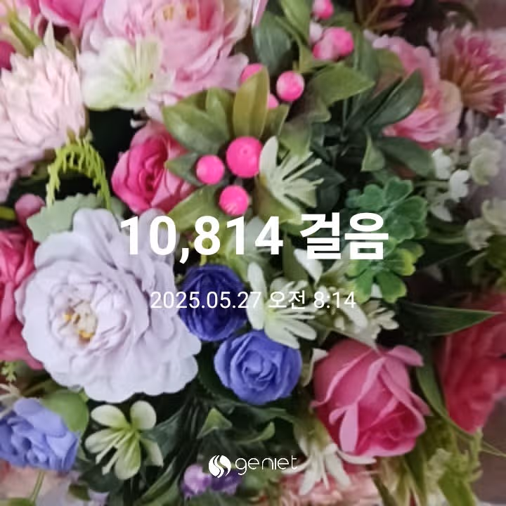 오전 운동 