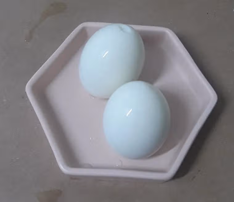 삶은 계란