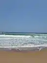 board-img