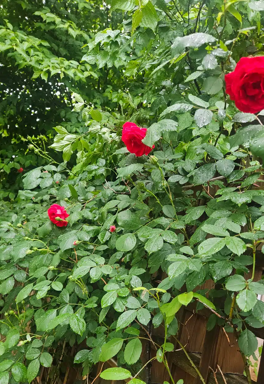 점심 후 계단오르기로 🏃