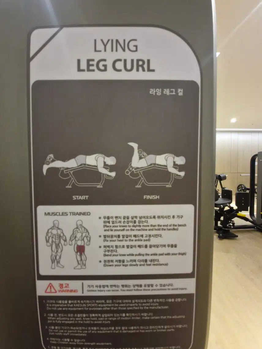 다시 시작한 근력운동