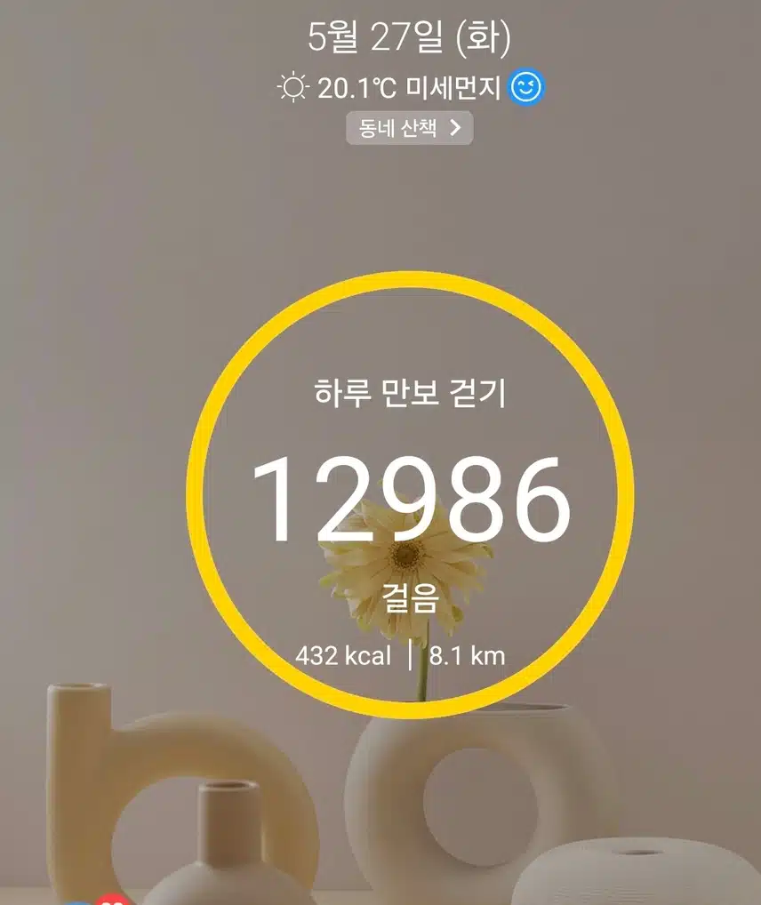 1만보 걷기 운동 완료