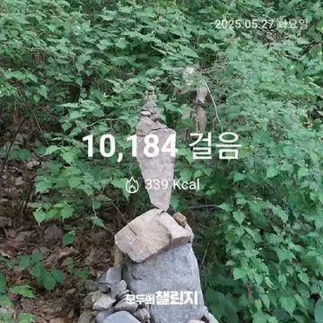 5월 27일 만보 완주 