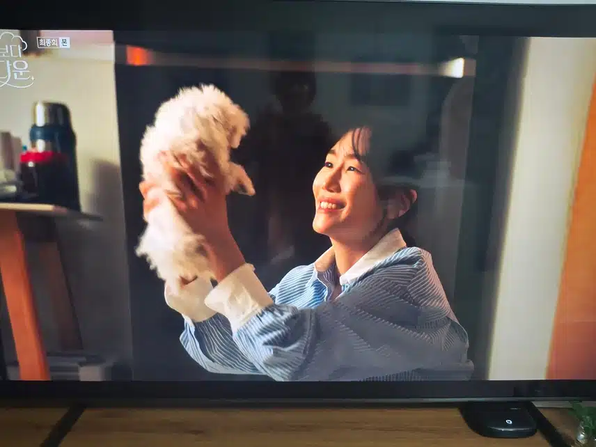 👫 위로와 희망이 되는 환생과 현생!