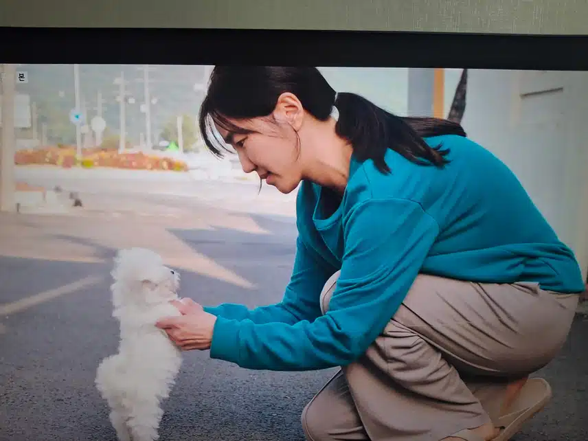 👫 위로와 희망이 되는 환생과 현생!