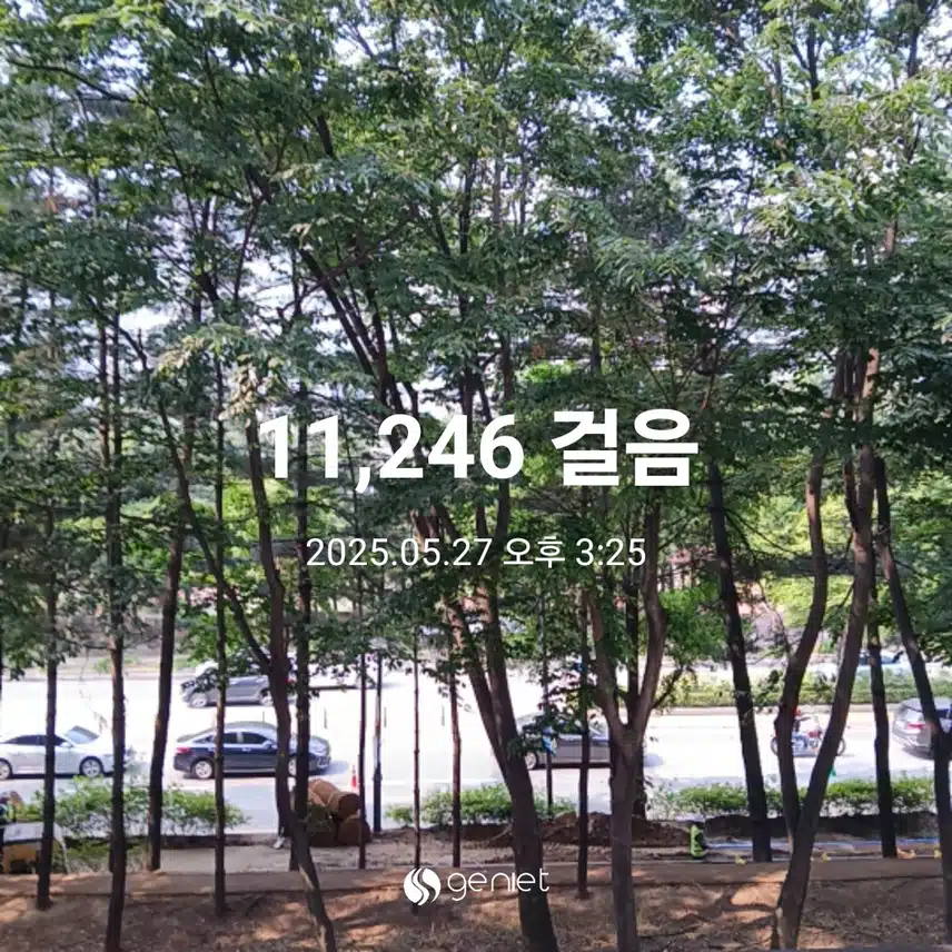 화요일 걷기운동^^