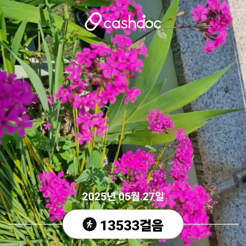   오늘도 걸었네요 
