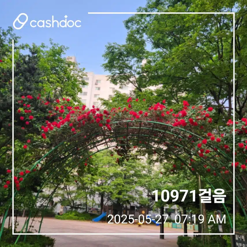 화요일 걷기