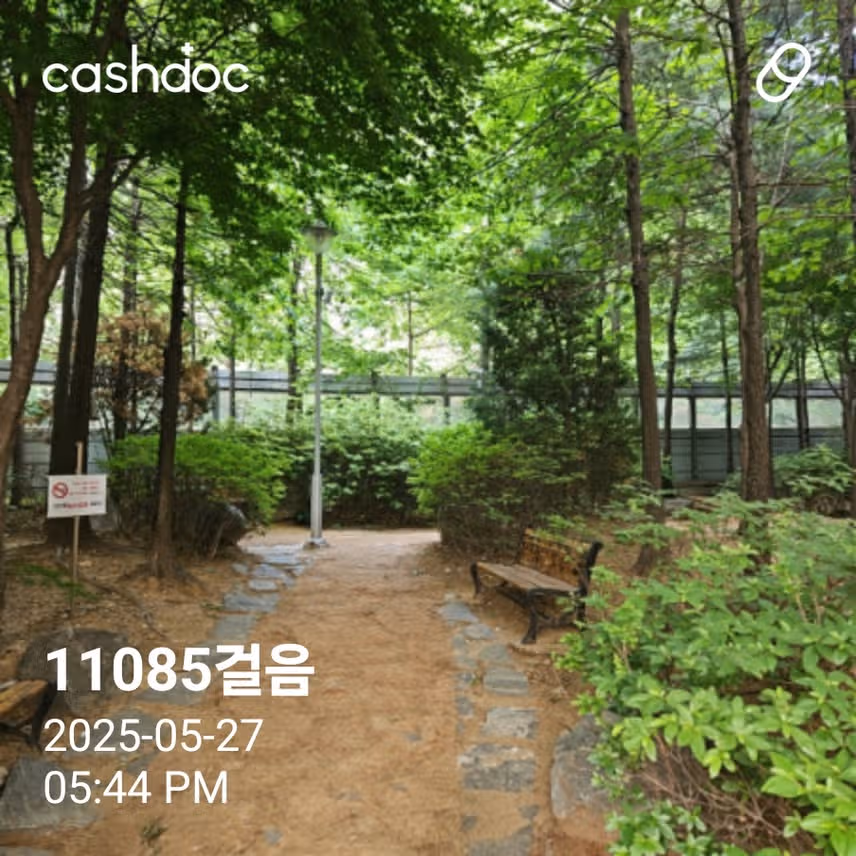내만보챌 5월 22일차 