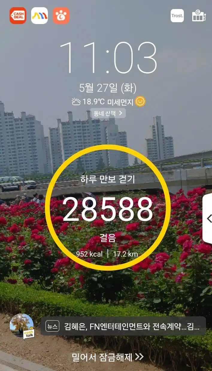 삼만보 걷기 