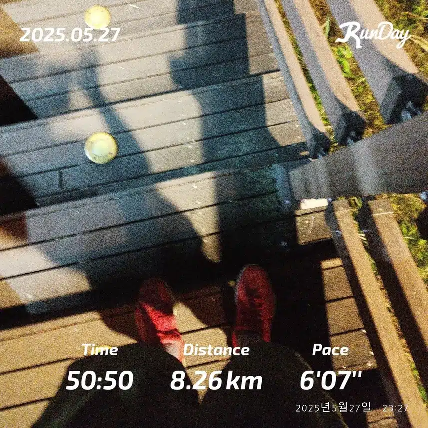8km 즐겁게 달렸습니다🏃🏻‍♂️