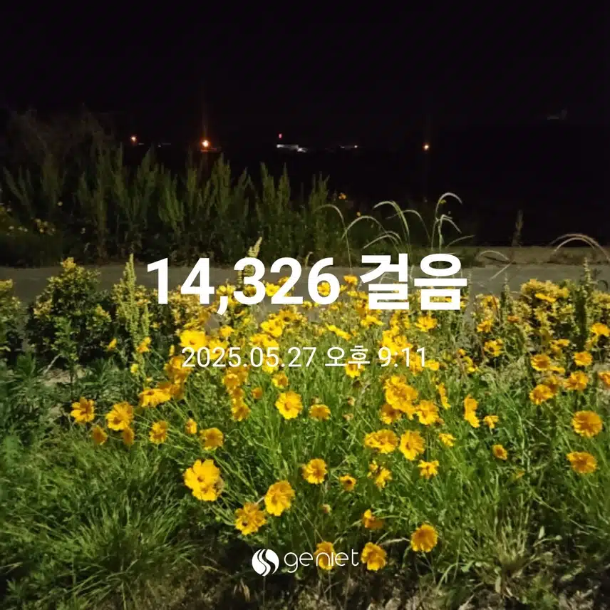 별보러 가요. 🌟 