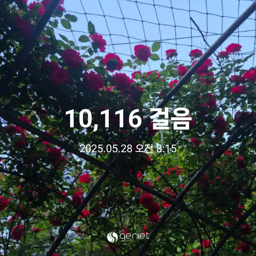 만보완주했어요