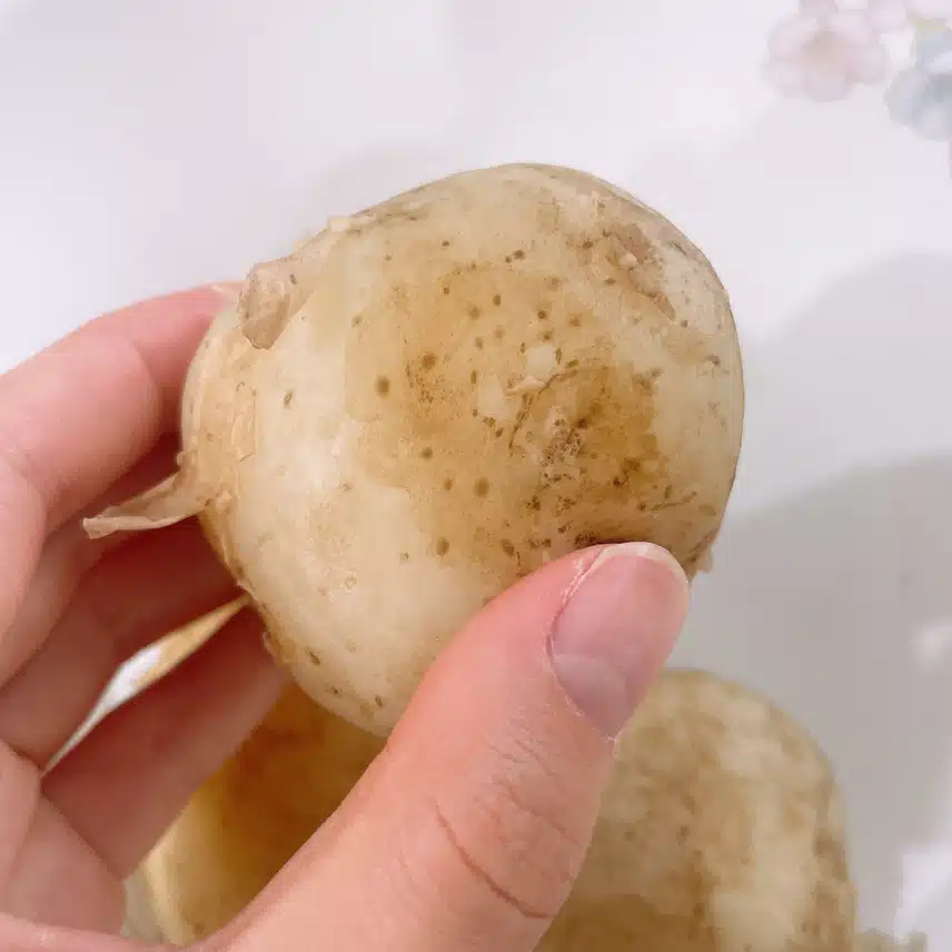 아침에 감자 삶아놨던거