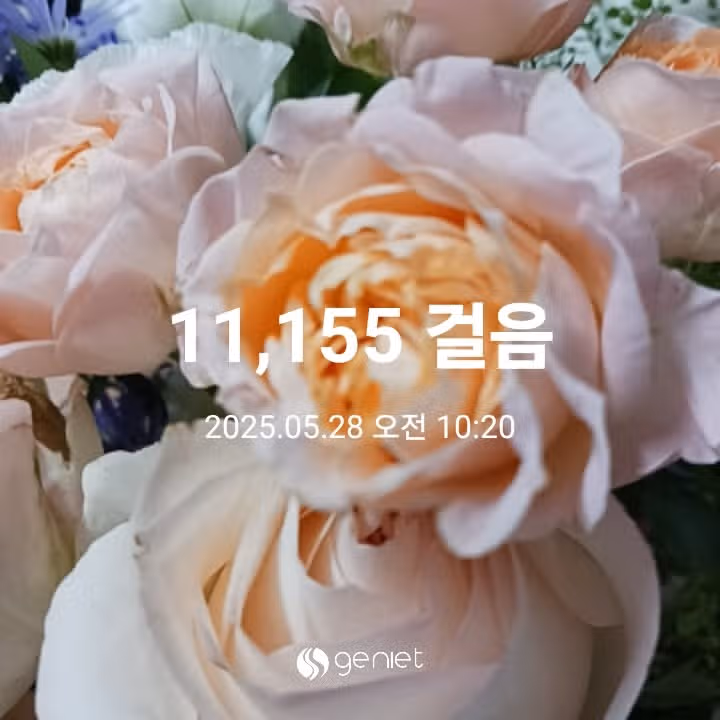 오전 운동 