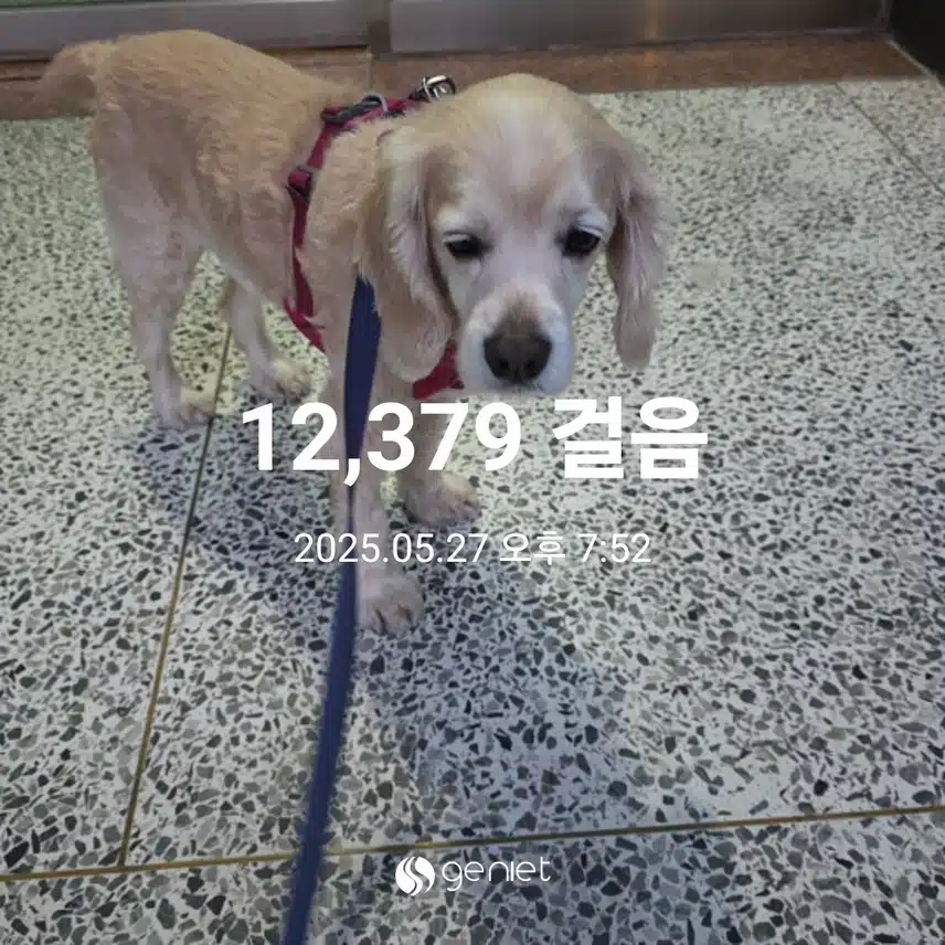 화요일 마무리 
