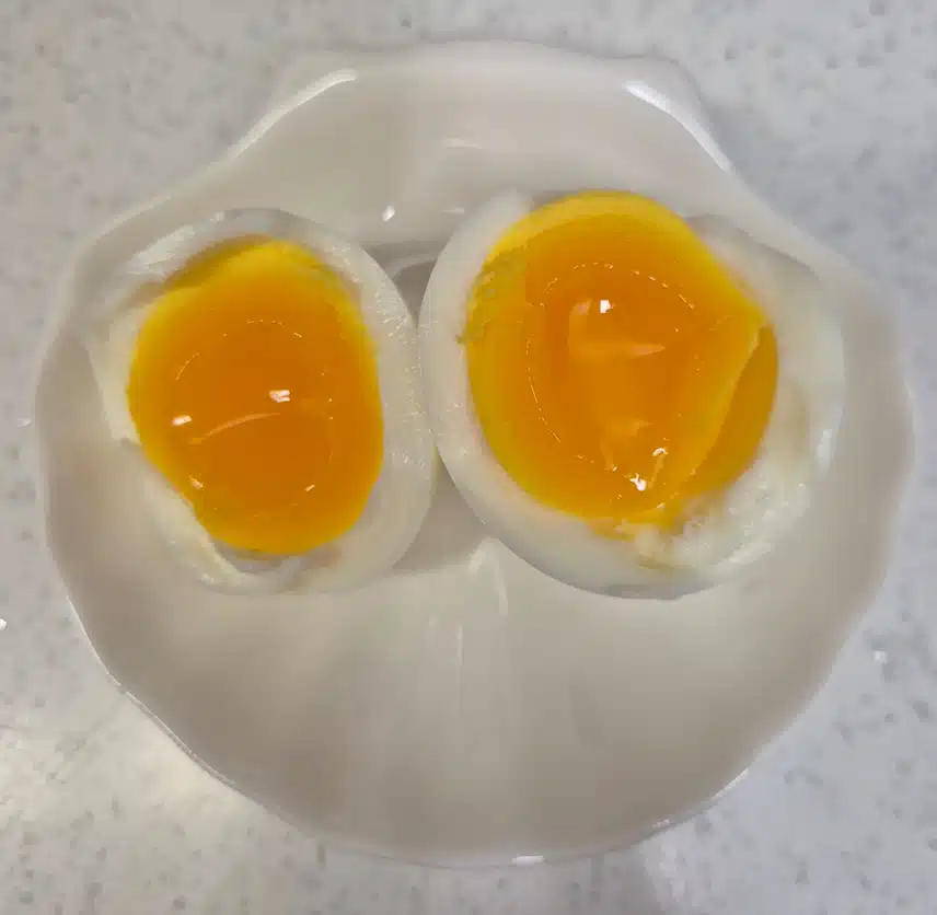 아침 단백질~