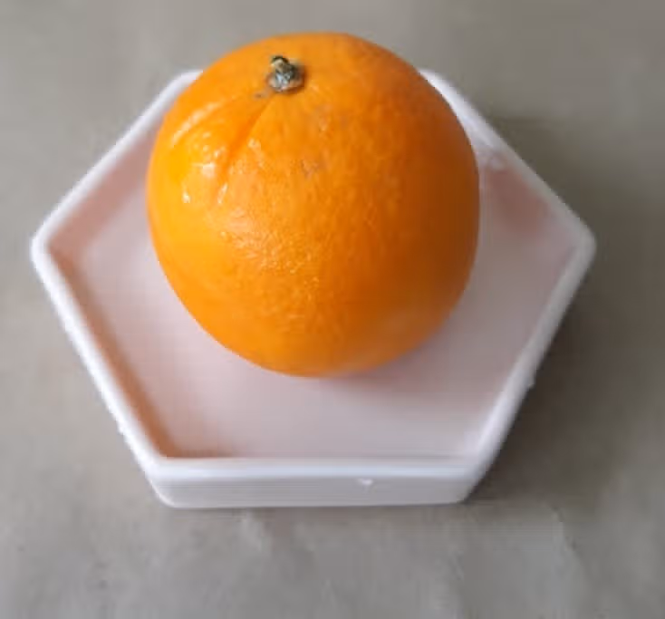 달콤한 오렌지 먹었어요