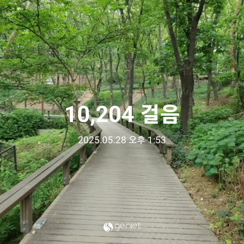 만보걷기 완료