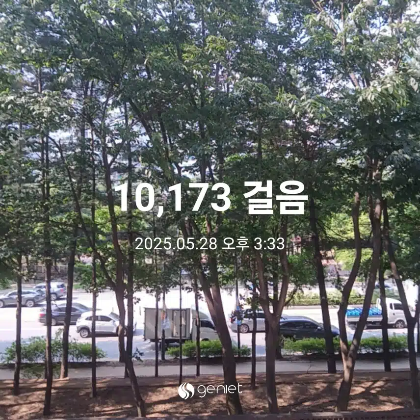 수요일 걷기운동^^