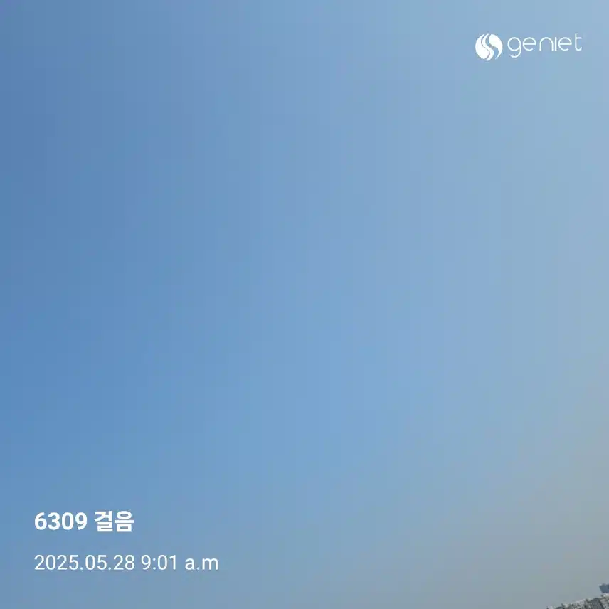 🌳 상쾌한 산책길이네요.