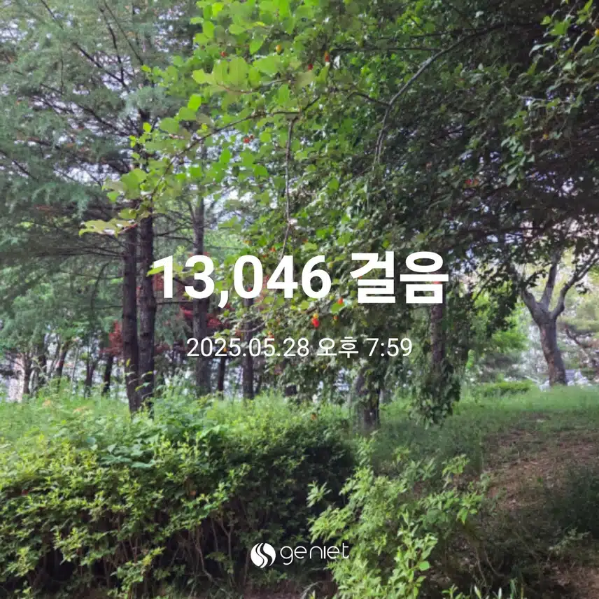 만삼천보 걸었어요 