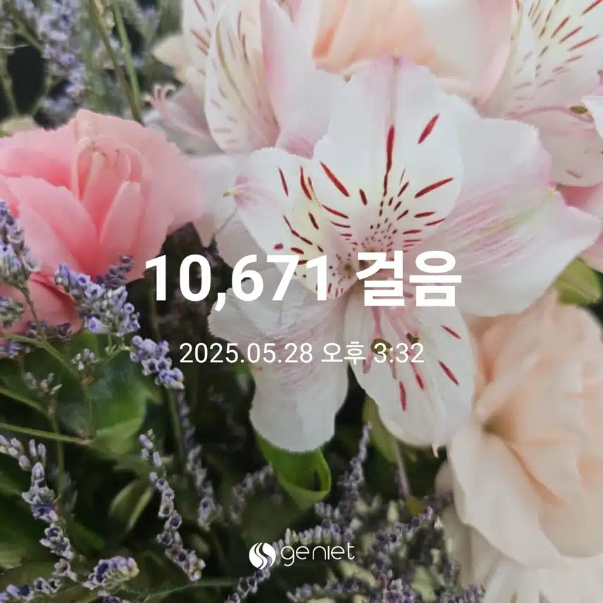 점심 후 걷기와 계단오르기로 🏃 
