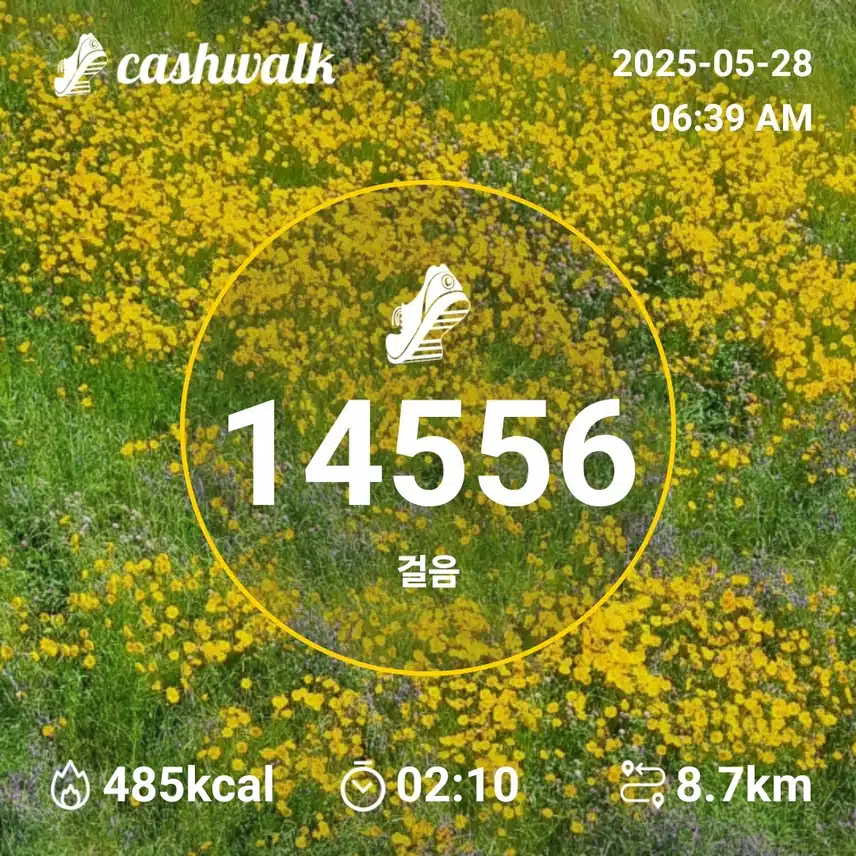  오늘도 만보걷기 새벽운동 