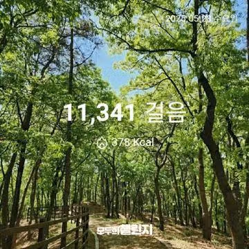 5월 28일 만천보 완주 