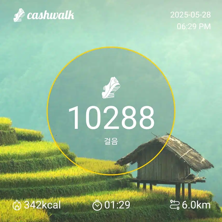 수요일 만보걷기