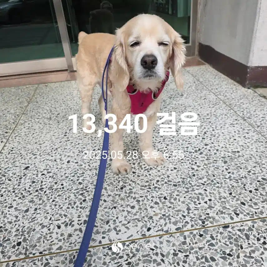 수요일 마무리 