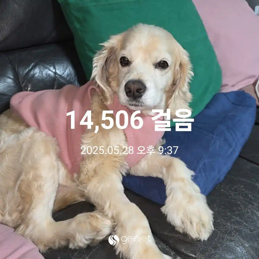 수요일 마무리 