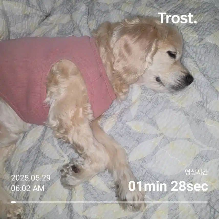목요일 아침 